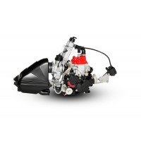 MOTORE ROTAX MICRO MAX EVO 125cc